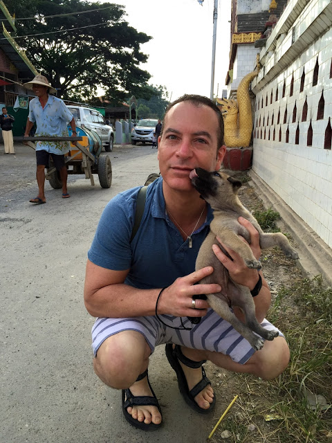 Arnold Plotnick and Stray Puppy in Myanmar