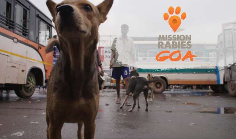 Mission Rabies Goa