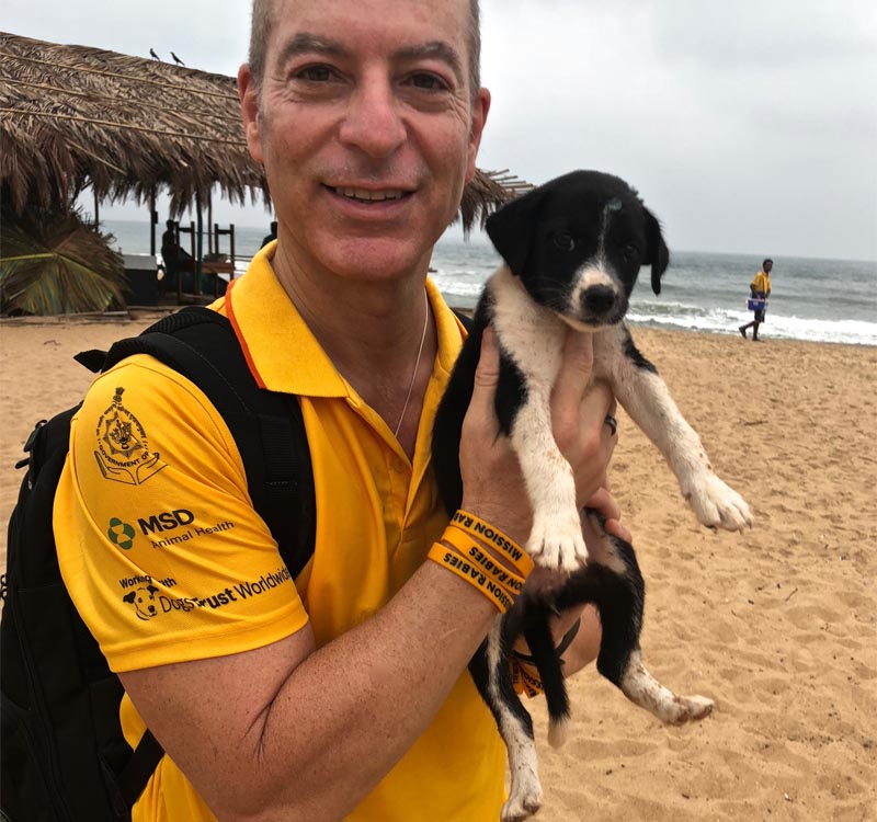 Arnold Plotnick and Stray Dog - Mission Rabies Goa