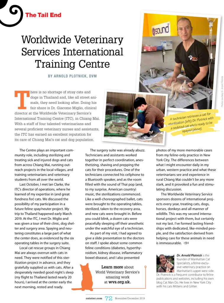 Spaying and Neutering Cats in Chang Mai, Thailand - Worldwide Veterinary Services International Training Centre by Dr. Arnold Plotnick - Catster.com